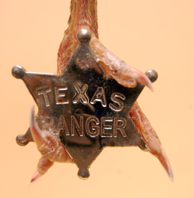 texas ranger badge detail